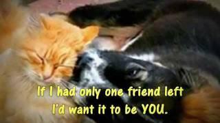 One Friend Left -DAN SEALS with LYRICS (RoselynGG)