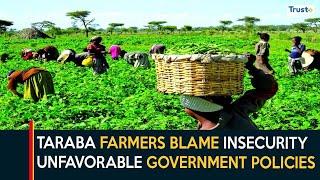 Cost Of Production: Taraba Farmers Blame Insecurity, Unfavorable Government Policies