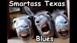 "Smartass Texas Blues" - Guitar Meets Science