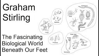 Graham Stirling - The Fascinating Biological World Beneath Our Feet