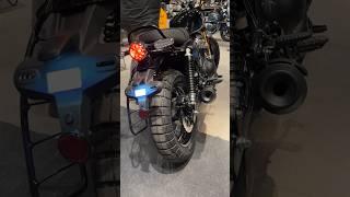 Bear 650 Exhaust Note