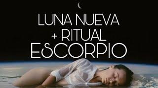 ESCORPIO LUNA NUEVA  + RITUAL…WOOOOOOOW!!!…SIN PALABRAS!!!…