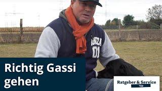 Richtig Gassi Gehen I Ratgeber & Service: Hundechoaching I REGIONAL.report