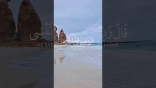 #اليمن #قران_كريم #حضرموت #ايات #ماهر_المعيقلي