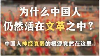 一本书揭秘中国人精神创伤为何难以疗愈：为什么中国人仍然活在文革之中？中国社会普遍神经衰弱的根源竟然在这里｜文革｜心理创伤｜神经衰弱｜闷声发大财｜自我成长｜中国历史｜