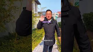 华人回国养老定居买房，联系置业顾问小陈，为您全程安排 #養老生活 #realestate #熱門 #大熱門 #正能量