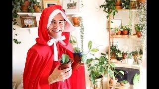 Happy Hoya-Ween! Halloween Hoya Unboxing feat. Ofjames of @UrbanJungleGilead #HotForHoya