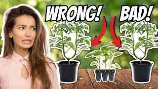 9 FATAL Transplanting Mistakes to Avoid in Your Garden!