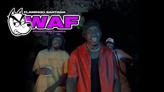 Flamingo Santana - WAF (Clip officiel)