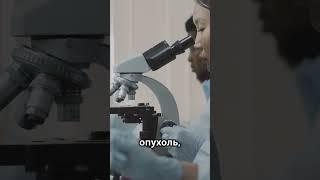 Китайские ученые натравили иммунитет на рак! #21geeknews #инновации