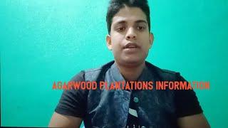 Agarwood plantations full information | Call-06000371241 | Oudh plantations #Agarwood