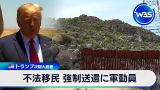 米トランプ次期大統領 不法移民強制送還に軍動員の方針「真実だ」　【WBS】