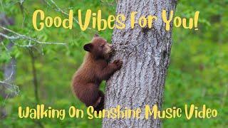 Fun Alert Good Vibes Mood Booster ~ Walking On Sunshine Music Video