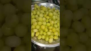Simple Pickle @ magic touch