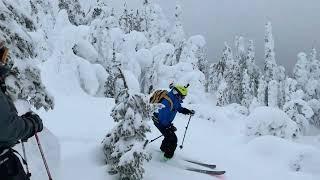 Sun Peaks Backcountry January 31 2023