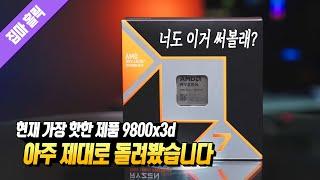 너도 이거 써볼래? 현재 가장 핫한 게이밍 제품 AMD 라이젠 7 9800x3d 리뷰 160번째