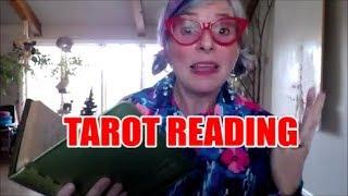 Dead Old Lady Secret Recipe Tarot Reading: Get your Answer now