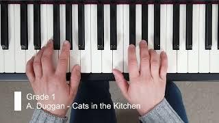 Cats in the Kitchen (A. Duggan) RIAM 2024 Grade 1