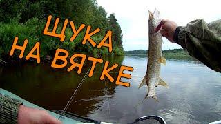 Рыбалка на реке Вятка, Сырьяны ! Белая Холуница, Кировская область