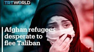 Afghan refugees desperate to flee Taliban