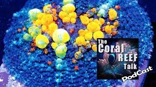 WWC BOUNCE MUSHROOM STARTED IT ALL! TheCoralReefTalk Podcast Episode 01