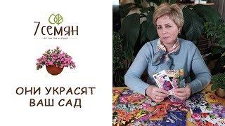 7 НЕПРИХОТЛИВЫХ ОДНОЛЕТНИКОВ, КОТОРЫЕ ЦВЕТУТ ВСЕ ЛЕТО / 7 семян
