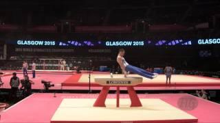 HRYKO Vladyslav (UKR) - 2015 Artistic Worlds - Qualifications Pommel Horse