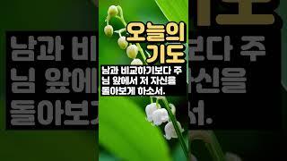 오늘의 기도 / 하루의 기도 / 아침기도 / 은혜의 기도