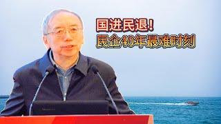 王小鲁，许小年：中国经济成果非政府功劳，民企陷40年最严挑战