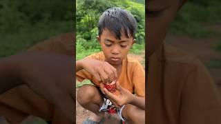 ️Survival Skills: SMART idea and USEFUL in Forest #bushcraft #camping #outdoors#survival