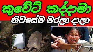 කුවේට් කද්දාමා ව නිවසේදීම ඇයි මැරුවේ? |Arabic with sha