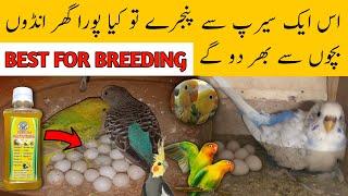 Best vitamins,Minerals and Calcium for birds breeding | australian parrots breeding medicine