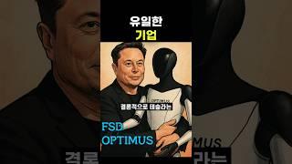 유일한 기업 테슬라