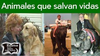 Animales que salvan vidas | Relatos del lado oscuro