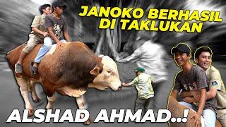 GREGETT..!! ALSHAD AHMAD BERHASIL TAKLUKAN JANOKO...!