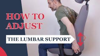 Adjusting Your Office Chair Lumbar Support - Ergonomic Office Seat Adjustment Manual