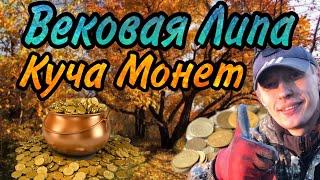 В ПОИСКАХ КЛАДА. МНОГОВЕКОВАЯ ЛИПА ПОРАДОВАЛА...