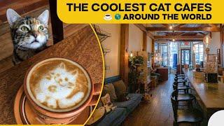 THE COOLEST CAT CAFES AROUND THE WORLD