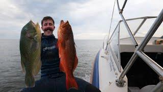 SPEARFISHING For My First Time In Australia's North West!