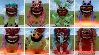 EVOLUTION OF NEW SMILING CRITTER ZOONOMALY, ZOOCHOSIS SONIC THE TAPES FAMILY In Garry's Mod!