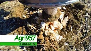 CASE IH MANGUM 335 & ROTOR STUMP GRINDER | Removing Stumps - CASE IH Power SOUND | Forestry