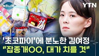 '초코파이'에 분노한 김여정...북한, 대북전단 전격 공개한 이유 [Y녹취록] / YTN