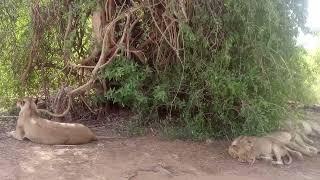 SAMBURU NATIONAL RESERVE