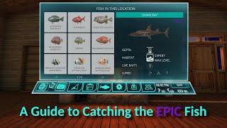 A Guide to Catching Epic Fish in Real VR Fishing Year 2 Edition.