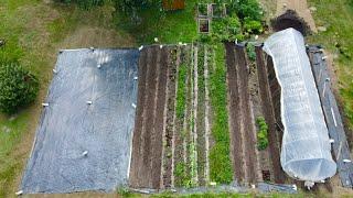 Market gardening for profit - update on my (soon to be) quarter acre market garden