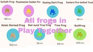 All Frog Location and time (insect) | Play Together