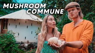Inside A Mushroom Commune (Fungi Academy)