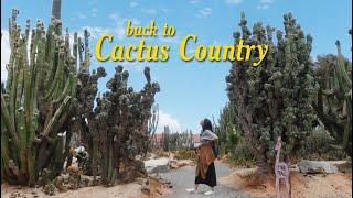 The annual return to Cactus Country!