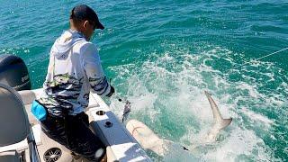 Shark Fishing on the 7 Mile Bridge - HUGE BULL SHARKS!!! Florida Keys | The Fish Locker