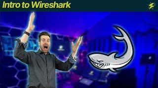 FREE COURSE: Intro to Wireshark (Start Here)